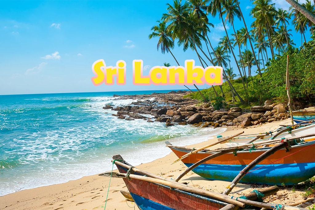 A Typical Medium-to-Large Water Park Project in Sri Lanka: A Practical Reference for Clients