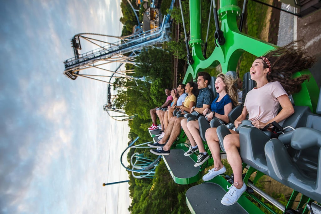 Visitors enjoying a roller coaster ride at an amusement park
